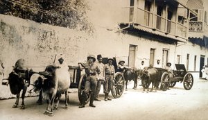 Geredde Britse kanonnen nog steeds bruikbaar, Zanzibar, 1914 door English Photographer